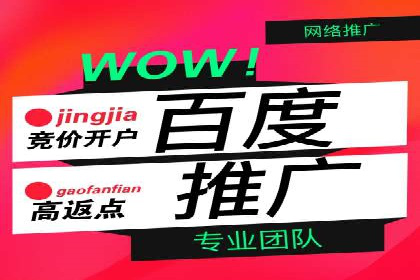 百度竞价包年推广案例：品牌提升的秘诀