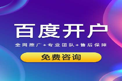 案例分析：SEM优化助力电商销量增长